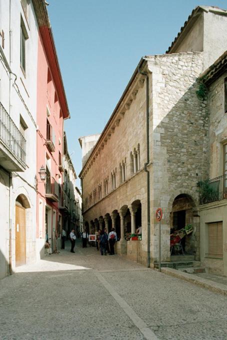 Apartamentos Saltarel-Lo Besalu Exterior photo
